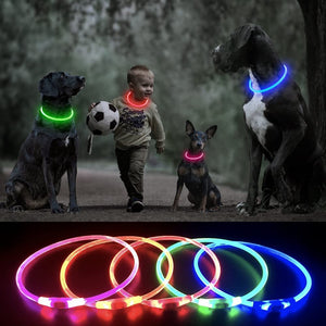 Super Bright Fashion LED Dog Glowing Collar