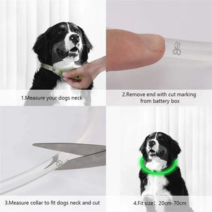 Super Bright Fashion LED Dog Glowing Collar